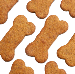 High-Quality Dog and Cat Biscuits for Your Private Label